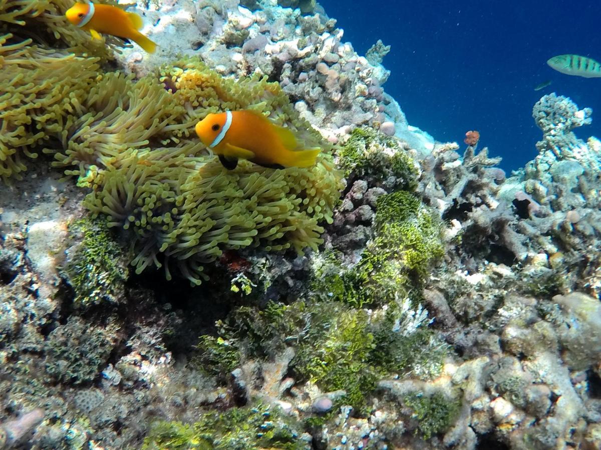 Atoll Residence Dhangethi Zewnętrze zdjęcie