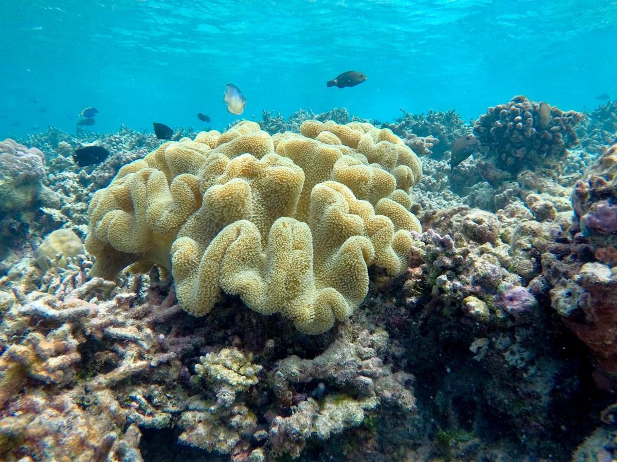 Atoll Residence Dhangethi Zewnętrze zdjęcie